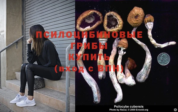 мдма Протвино