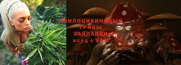 мдма Протвино