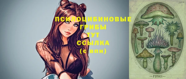 мдма Протвино
